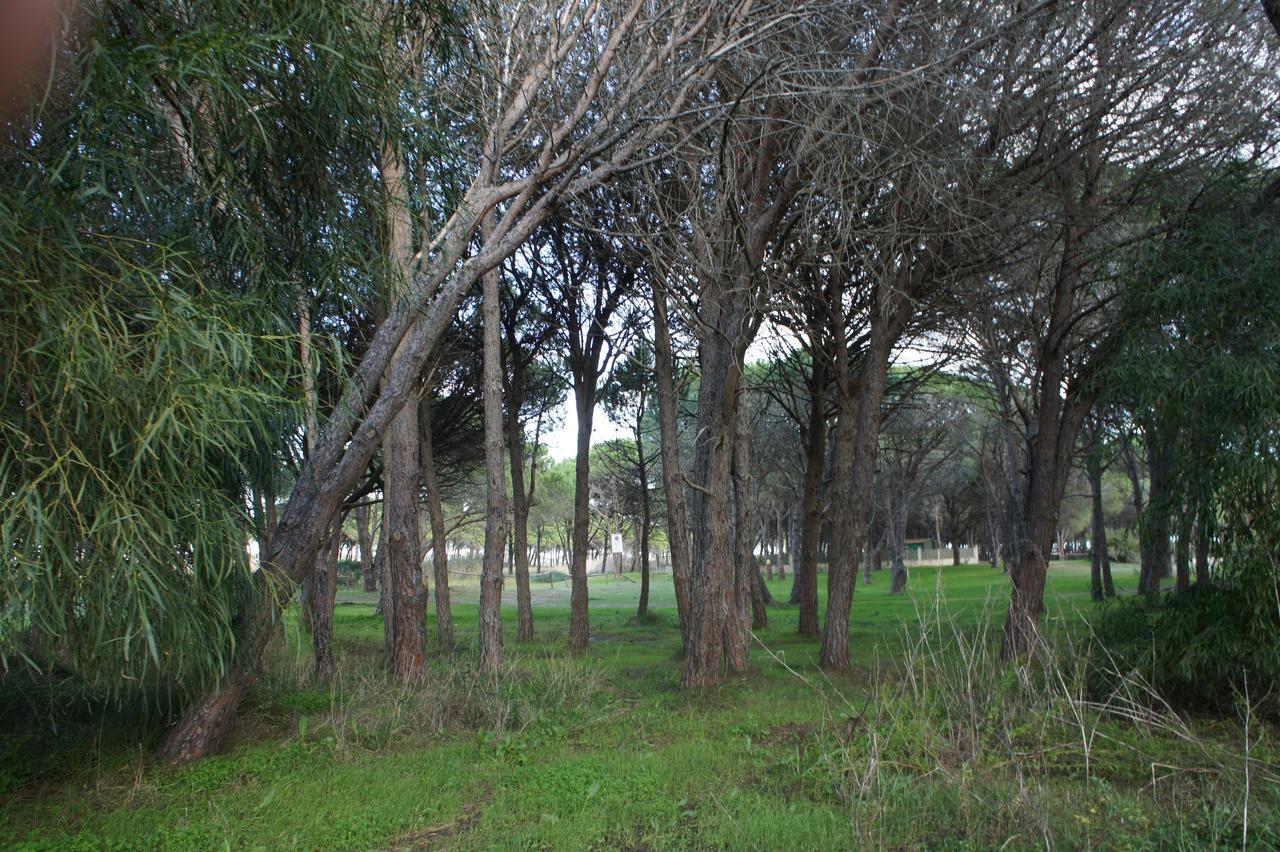 Bed and Breakfast Locanda Farorientale Santa Lucia  Exterior foto